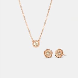 COACH Necklace and Earring Set